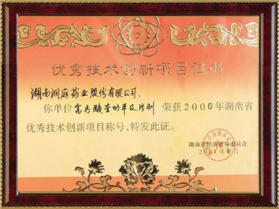 湖南省優(yōu)秀技術創(chuàng)新項目